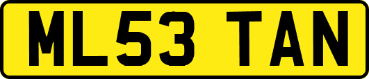 ML53TAN