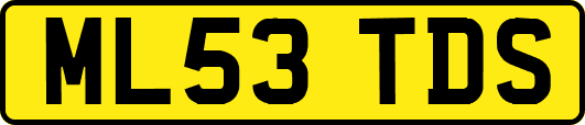 ML53TDS