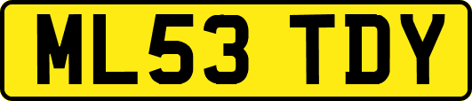 ML53TDY