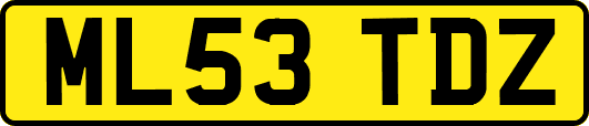 ML53TDZ