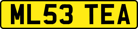 ML53TEA