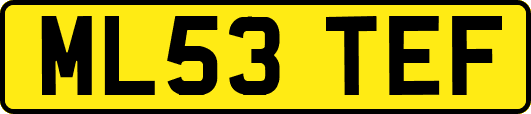 ML53TEF