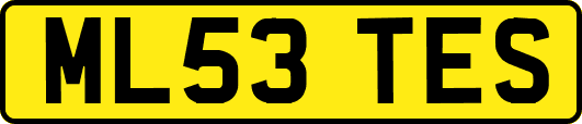 ML53TES