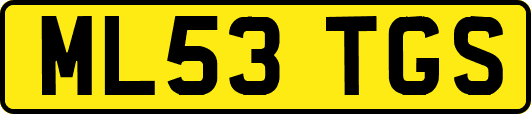 ML53TGS