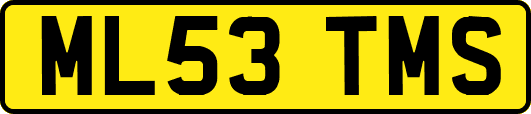 ML53TMS