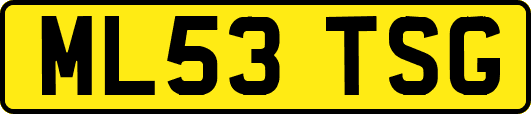 ML53TSG