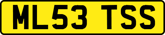ML53TSS