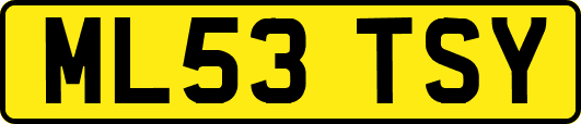 ML53TSY