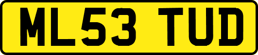 ML53TUD