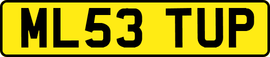 ML53TUP