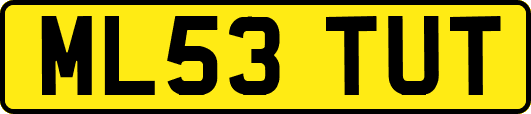 ML53TUT