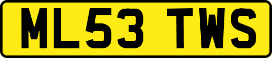 ML53TWS