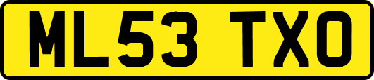 ML53TXO