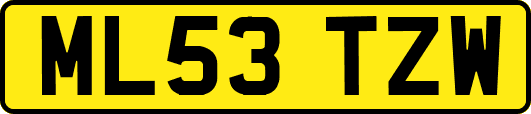 ML53TZW