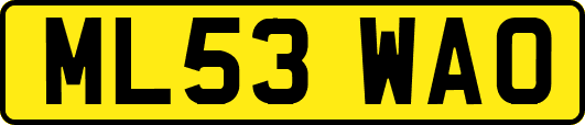 ML53WAO