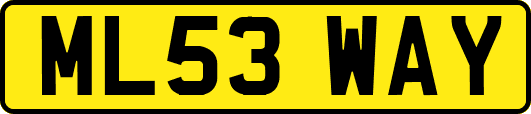 ML53WAY