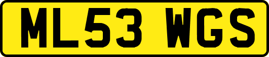 ML53WGS