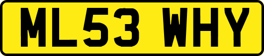 ML53WHY