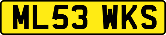 ML53WKS