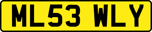 ML53WLY
