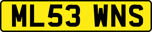 ML53WNS
