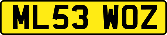 ML53WOZ
