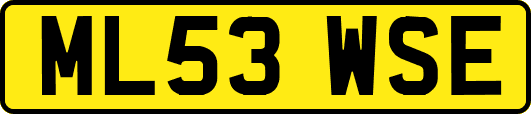 ML53WSE