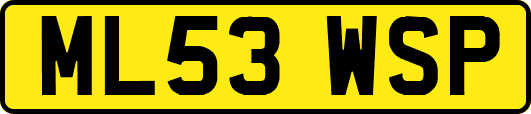 ML53WSP