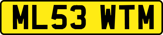 ML53WTM