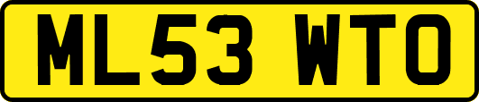 ML53WTO