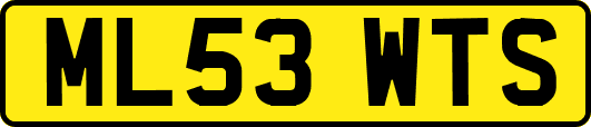 ML53WTS