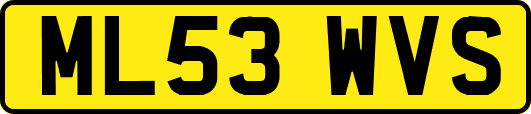 ML53WVS