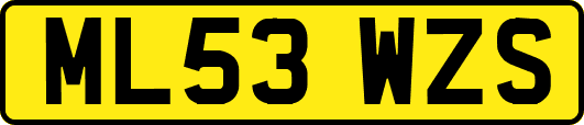 ML53WZS