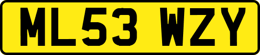 ML53WZY