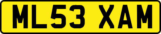 ML53XAM
