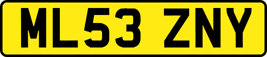 ML53ZNY