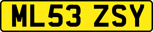 ML53ZSY