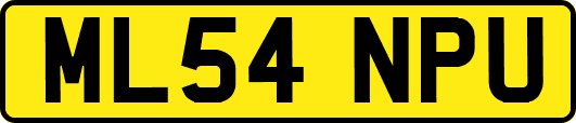 ML54NPU