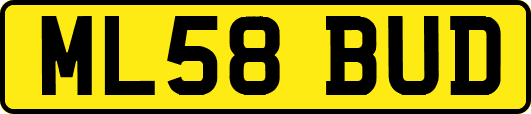 ML58BUD