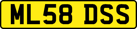 ML58DSS