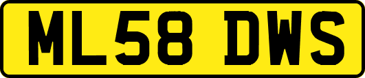 ML58DWS