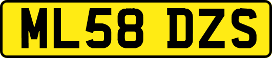 ML58DZS