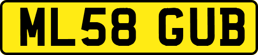 ML58GUB