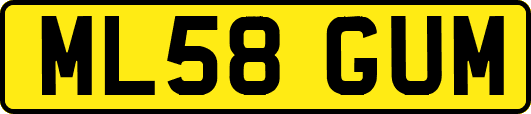 ML58GUM
