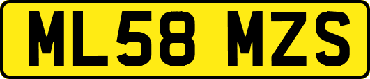ML58MZS