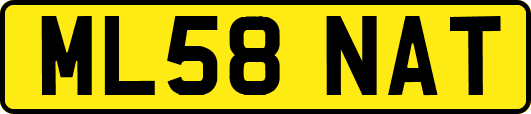 ML58NAT