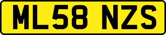 ML58NZS