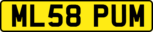 ML58PUM