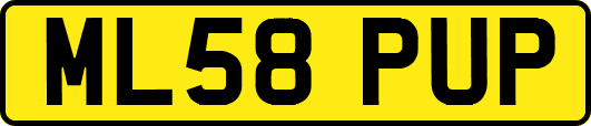 ML58PUP
