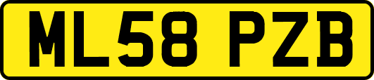 ML58PZB
